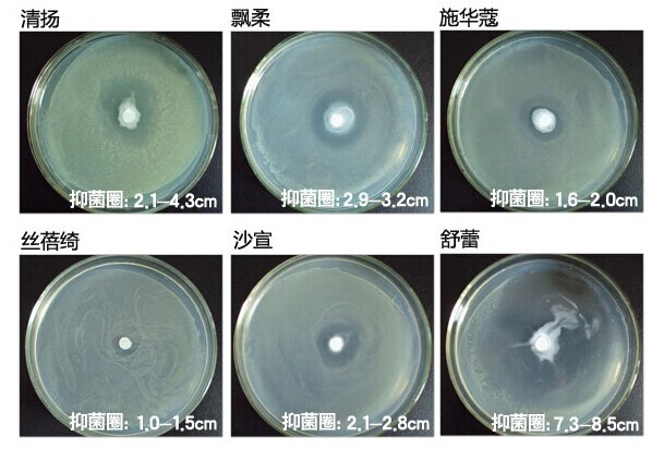 真相:中药洗发水去屑难靠谱