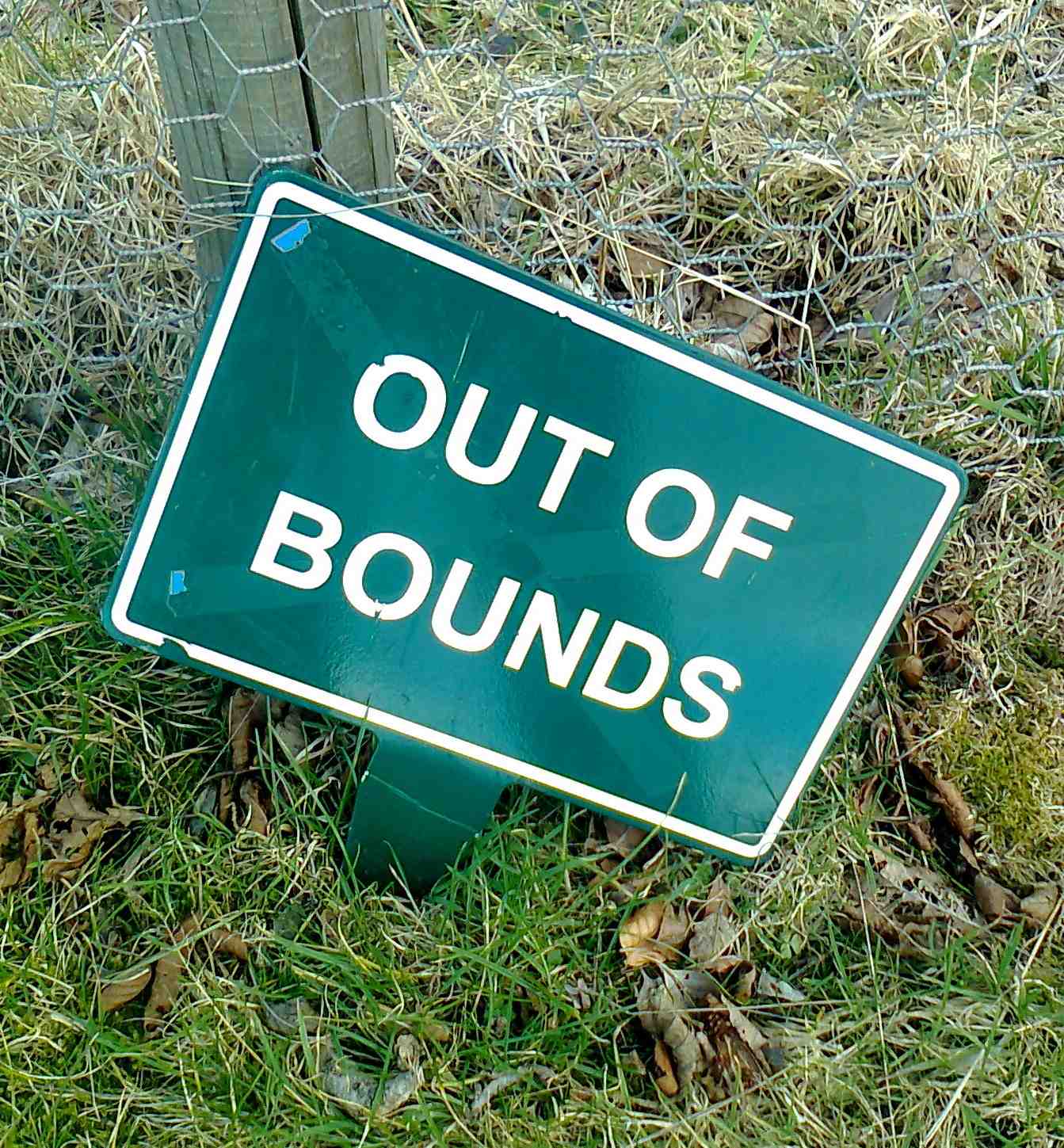 【out of bounds】什么意思 英语out of bounds的翻译 音标 读音 用法 例句 在线翻译 有道词典
