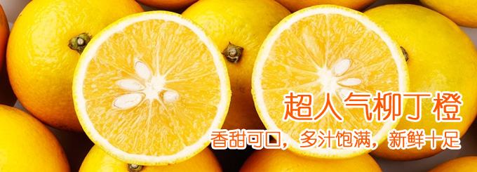 柑橘与橙子的区别_柳丁和橙子的区别_烤橘子和烤橙子的区别