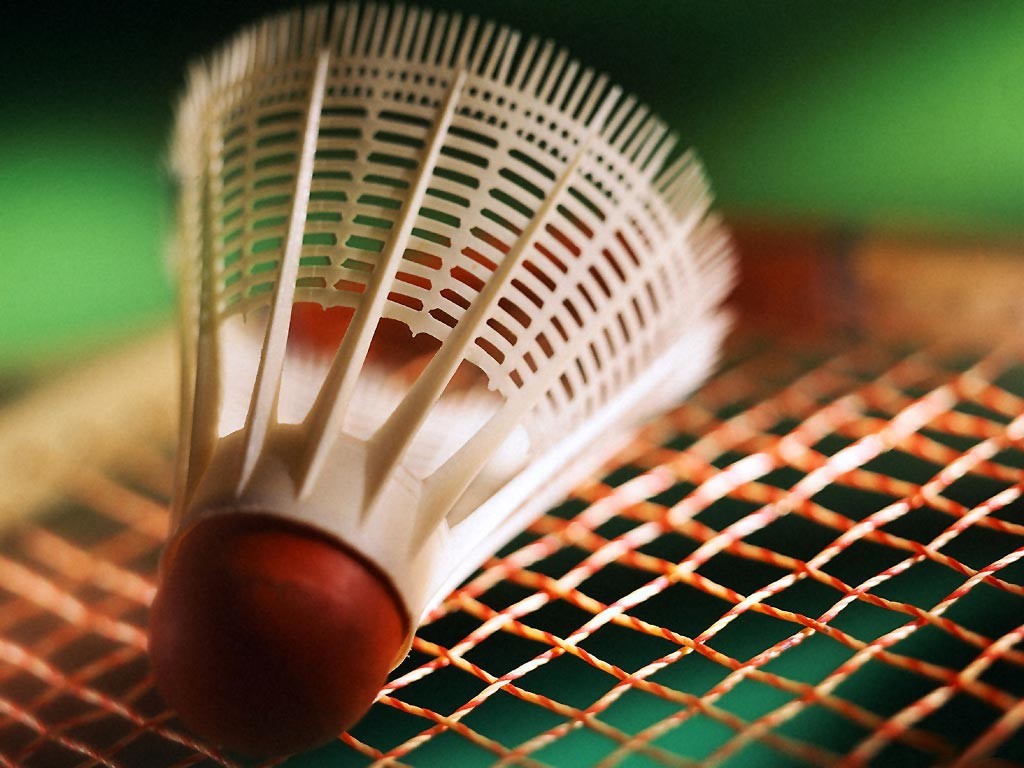 【badminton】什么意思_英语badminton的翻译