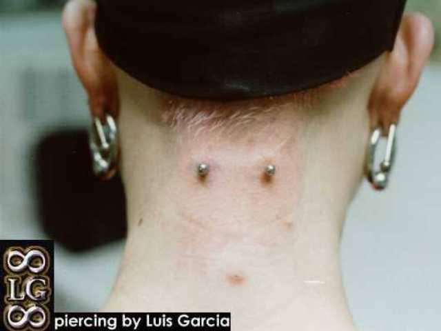 【nape】什么意思_英语nape的翻译_音标_