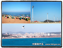 龙湾海滨风景区 龙湾海滨风景区