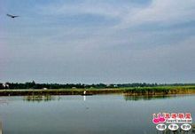 淮南焦岗湖国家湿地公园 淮南焦岗湖国家湿地公园