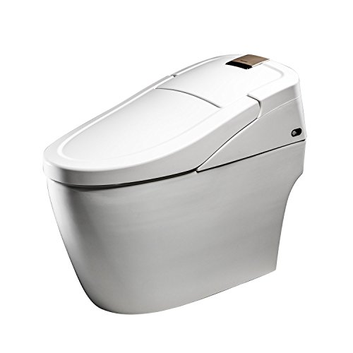 bravat 贝朗 c21144xuw-3 虹吸漩式智能马桶 f61